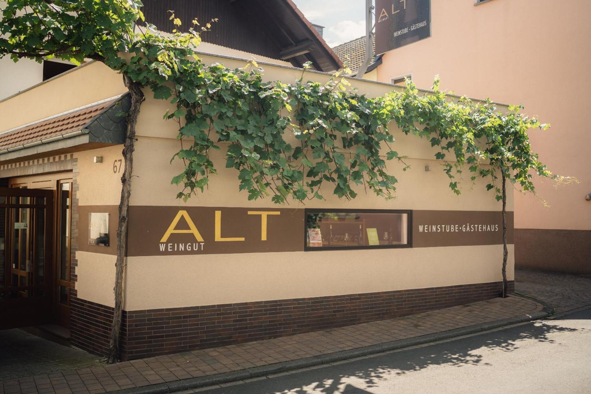 Weingut Und Gaestehaus Holger Alt Monzingen Exterior photo